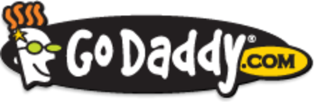 2013 Godaddy Logo